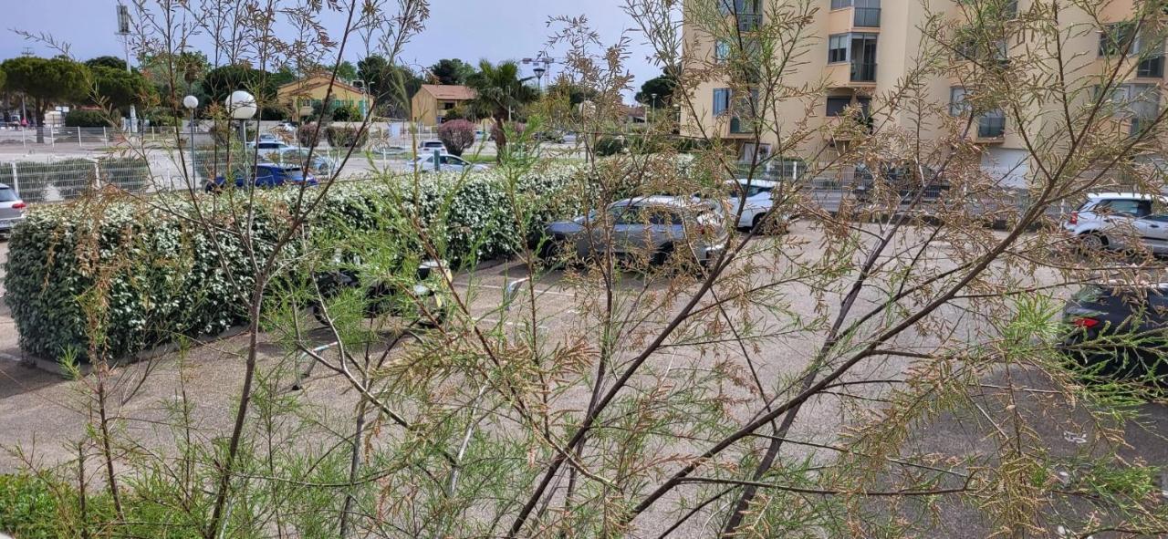 לה-גרו-דו-רואה La Cigale De Mer A 100 M De La Plage Et Du Centre Ville Du Grau Du Roi מראה חיצוני תמונה